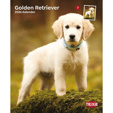 2026 Kalender Golden Retriever – 12 Monate