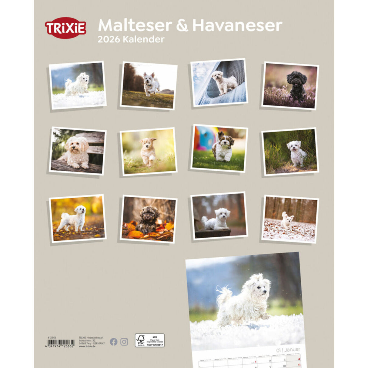 2026 Kalender Malteser/Havaneser – für 12 Monate