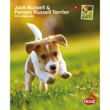 2026 Kalender Jack Russell & Parson Russell Terrier – 12 Monate