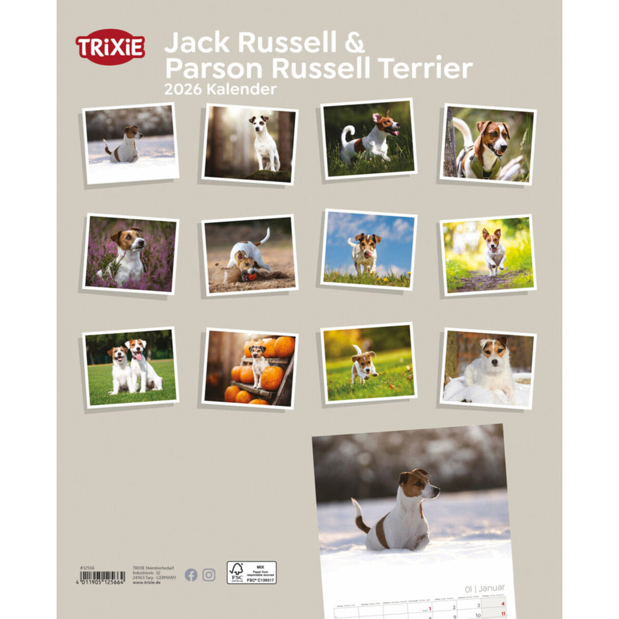 2026 Kalender Jack Russell & Parson Russell Terrier – 12 Monate