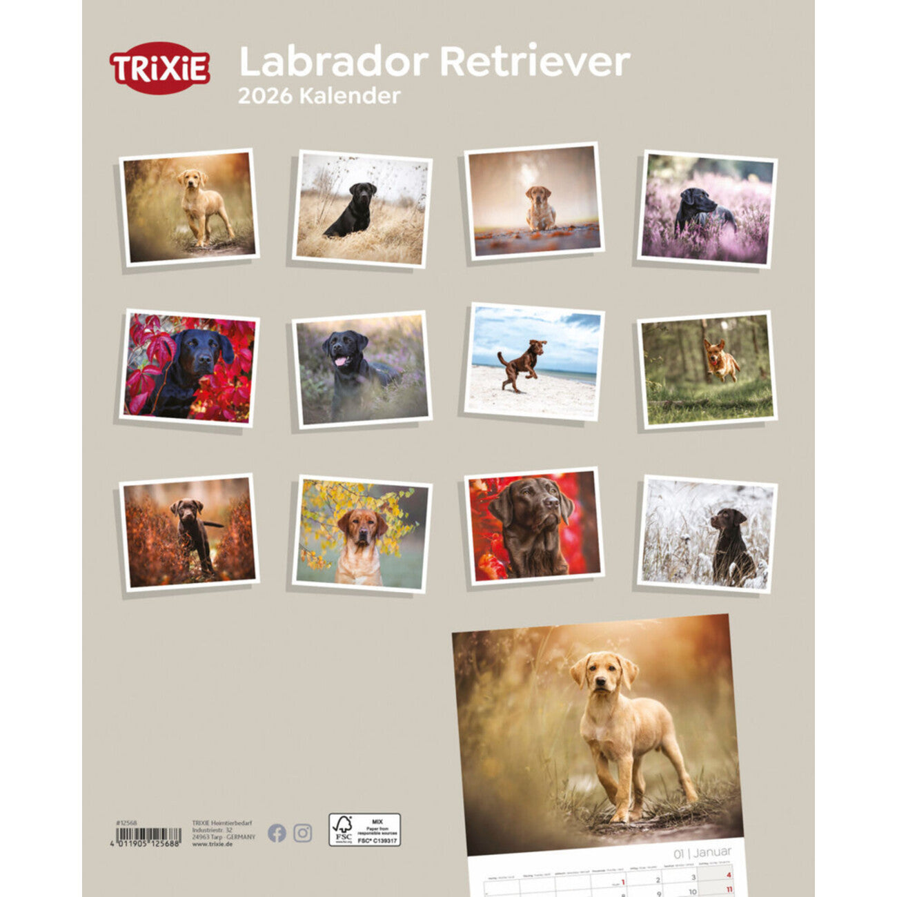 2026 Hundekalender Labrador Retriever – 12 Monate