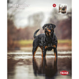 2026 Kalender Rottweiler – 12 Monate