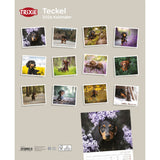2026 Kalender Teckel Dackel – 12 Monate
