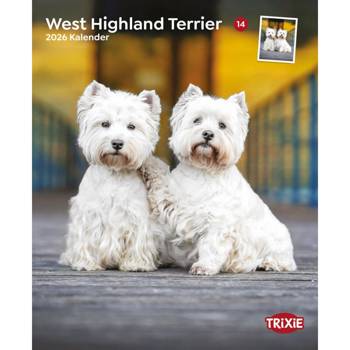 2026 Kalender West Highland Terrier – 12 Monate