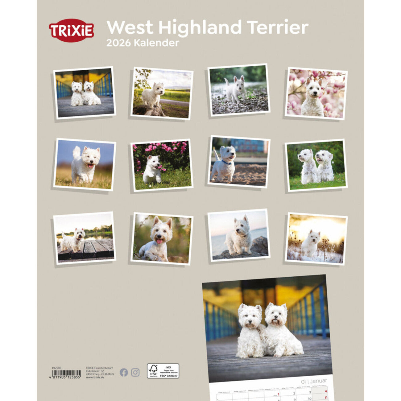 2026 Kalender West Highland Terrier – 12 Monate