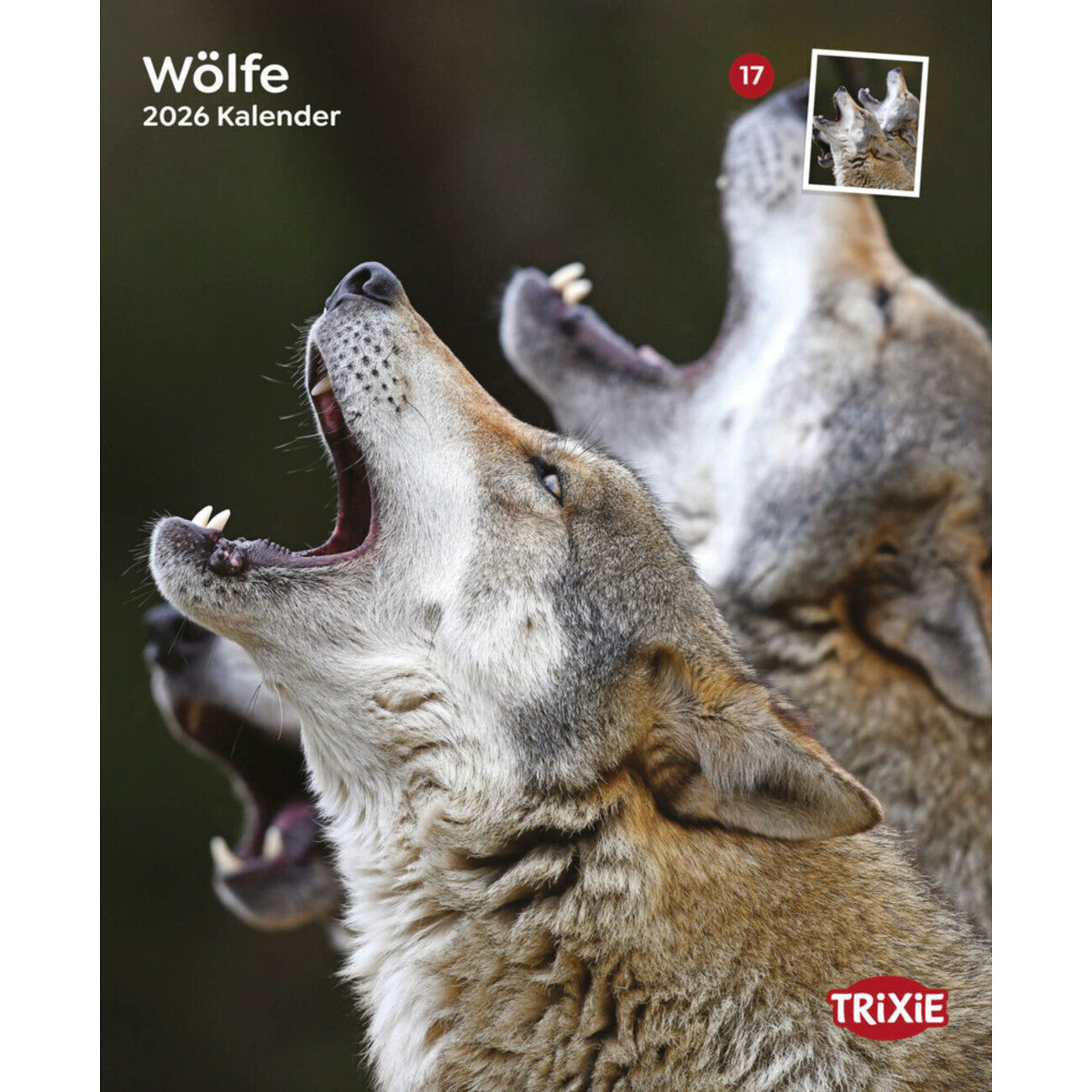 2026 Kalender Wölfe – 12 Monate