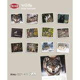 2026 Kalender Wölfe – 12 Monate