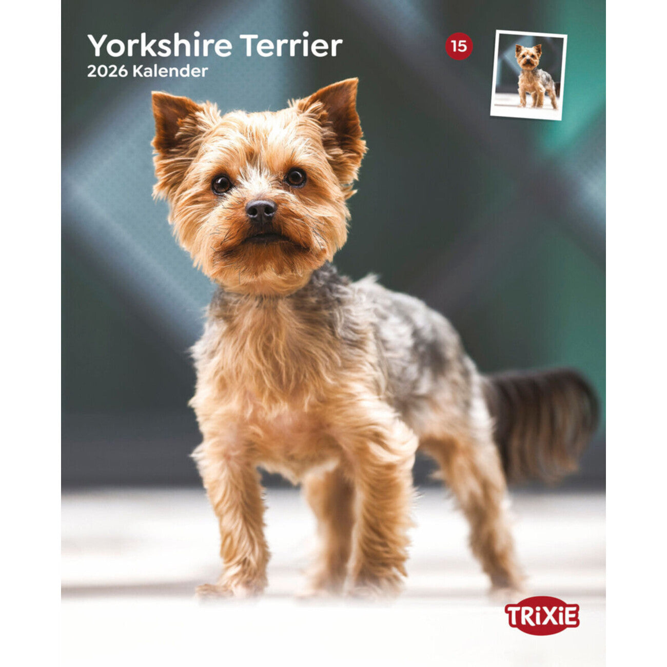 2026 Kalender Yorkshire Terrier – 12 Monate