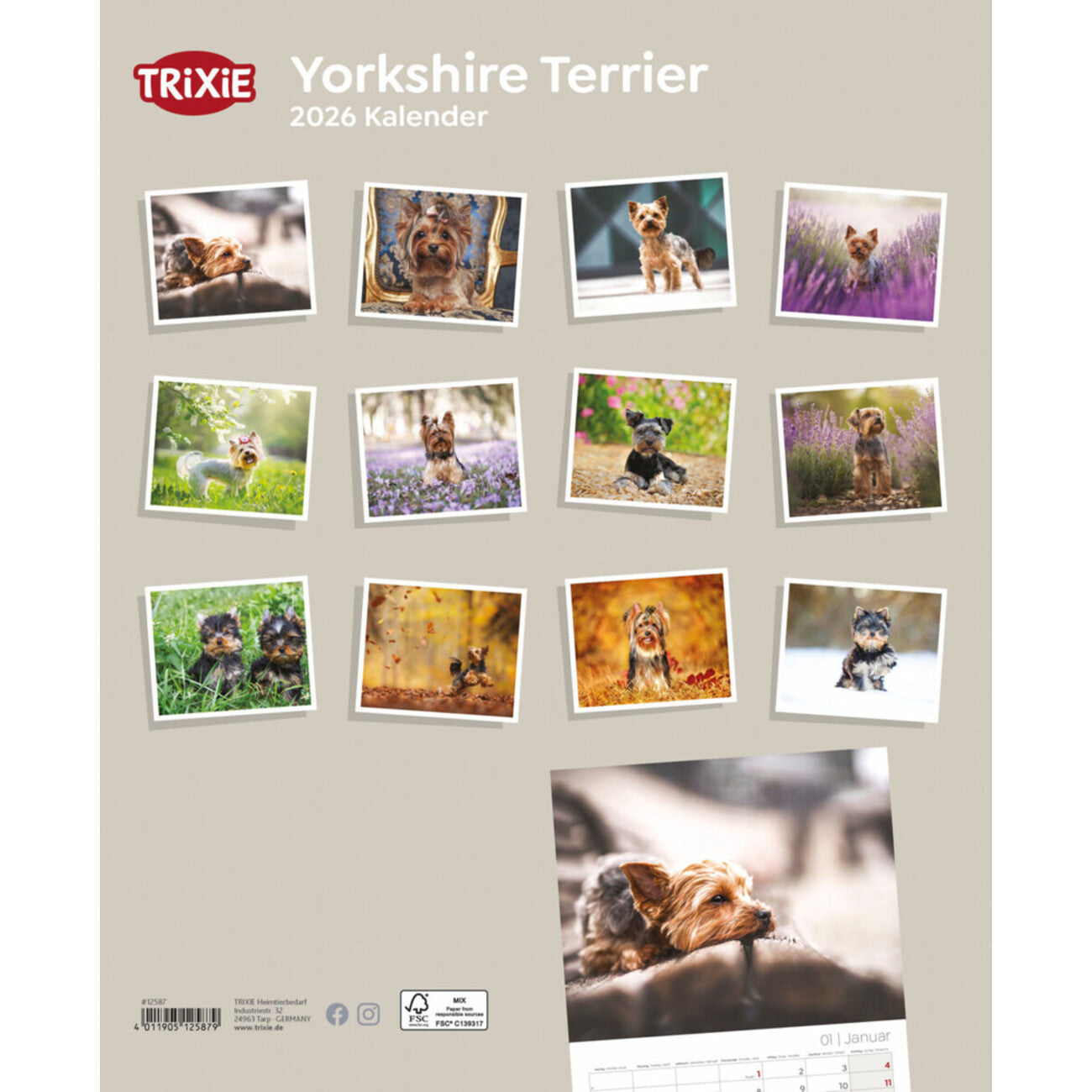 2026 Kalender Yorkshire Terrier – 12 Monate