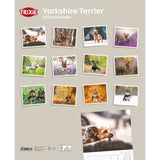 2026 Kalender Yorkshire Terrier – 12 Monate