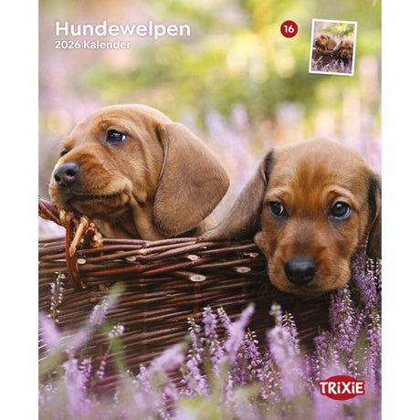 2026 Kalender Hundewelpen – 12 Monate