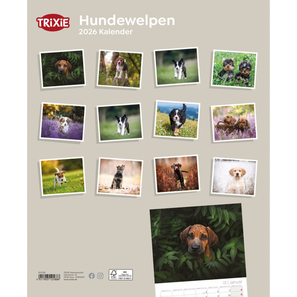 2026 Kalender Hundewelpen – 12 Monate