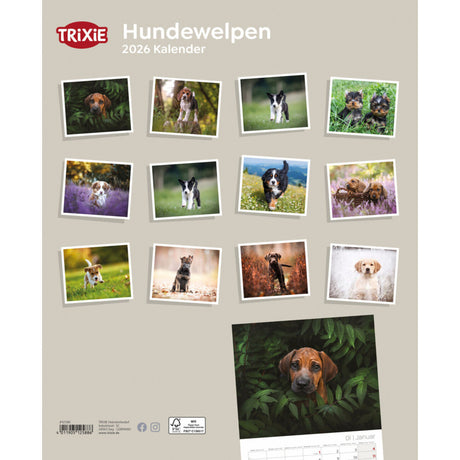 2026 Kalender Hundewelpen – 12 Monate