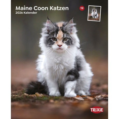 2026 Kalender Maine Coon Katzen – für 12 Monate