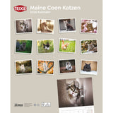 2026 Kalender Maine Coon Katzen – für 12 Monate
