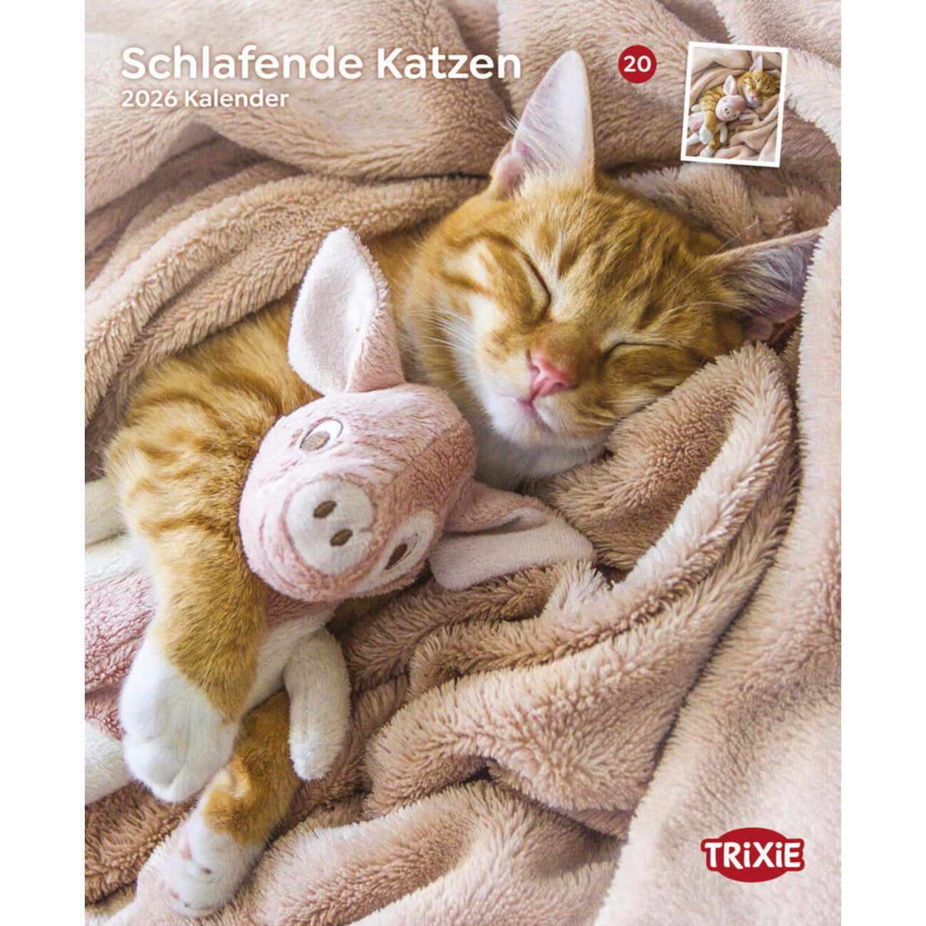 2026 Kalender schlafende Katzen – für 12 Monate