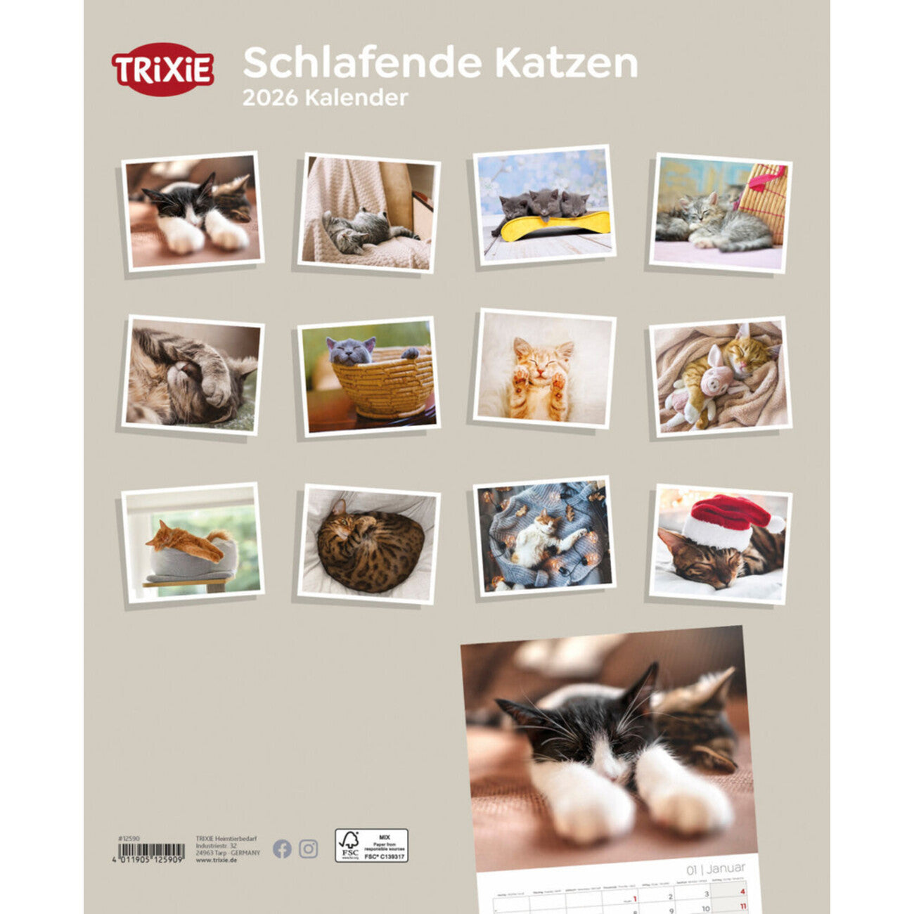 2026 Kalender schlafende Katzen – für 12 Monate