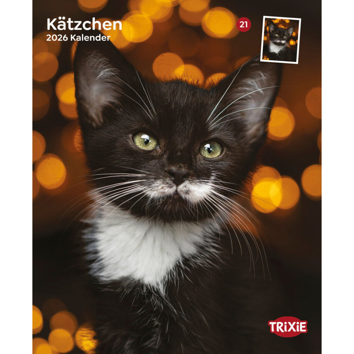 2026 Kalender Kätzchen – 12 Monate