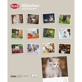 2026 Kalender Kätzchen – 12 Monate
