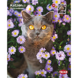2026 Kalender Katzen – 12 Monate