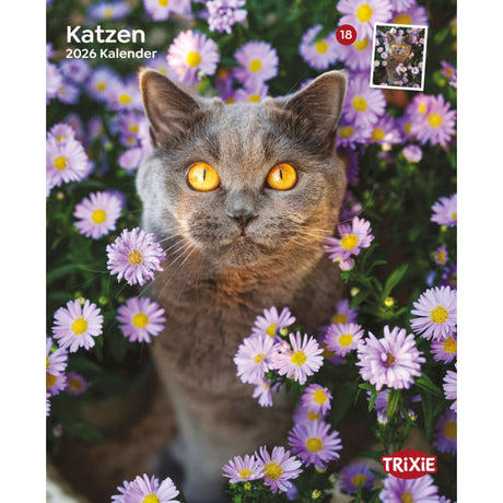 2026 Kalender Katzen – 12 Monate