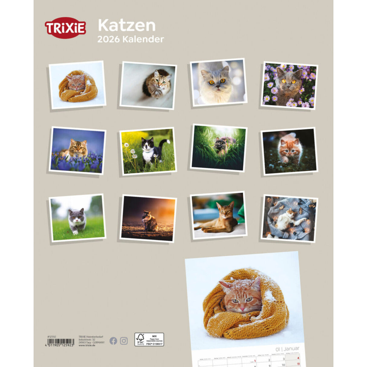 2026 Kalender Katzen – 12 Monate