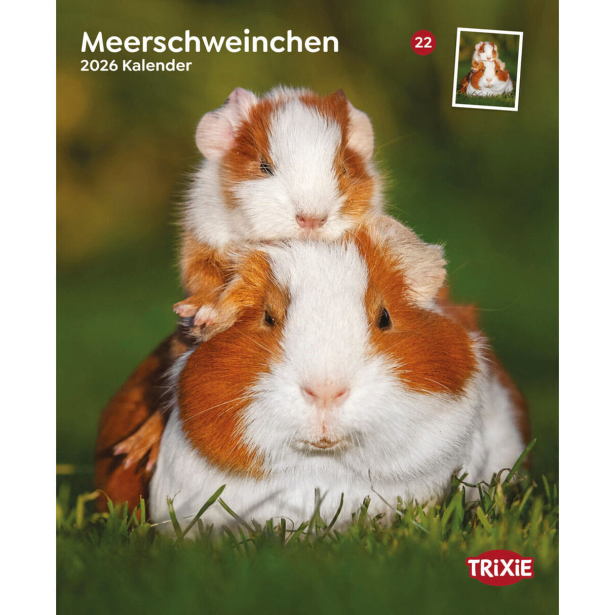 2026 Kalender Meerschweinchen – 12 Monate