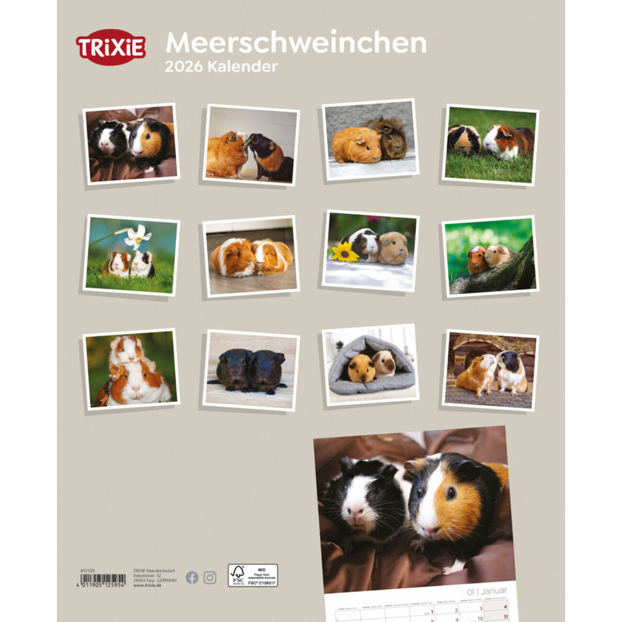 2026 Kalender Meerschweinchen – 12 Monate
