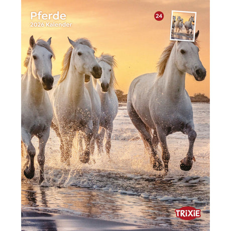 2026 Kalender Pferde – für 12 Monate