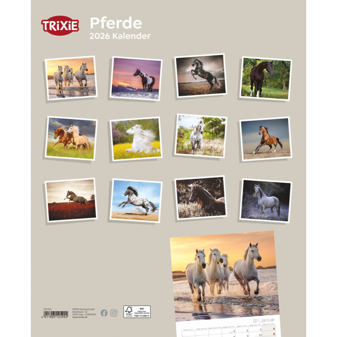 2026 Kalender Pferde – für 12 Monate