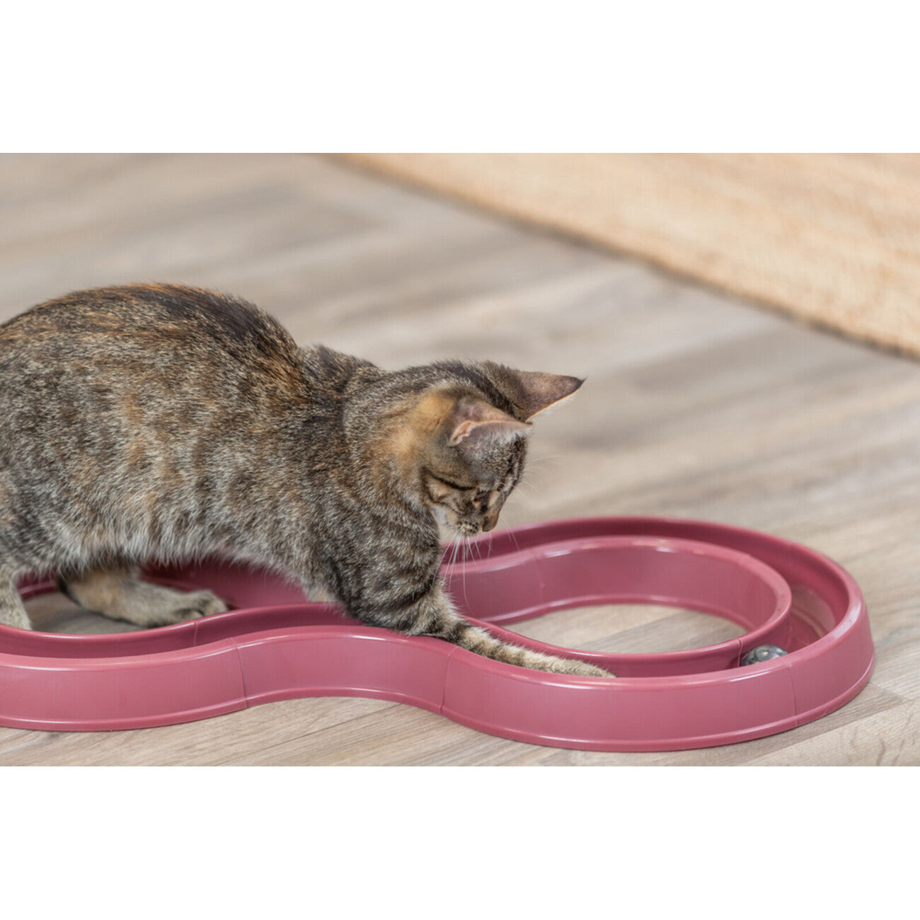 Trixie Katzenspielzeug Spielschiene Flashing Ball Race – 65 × 31 cm