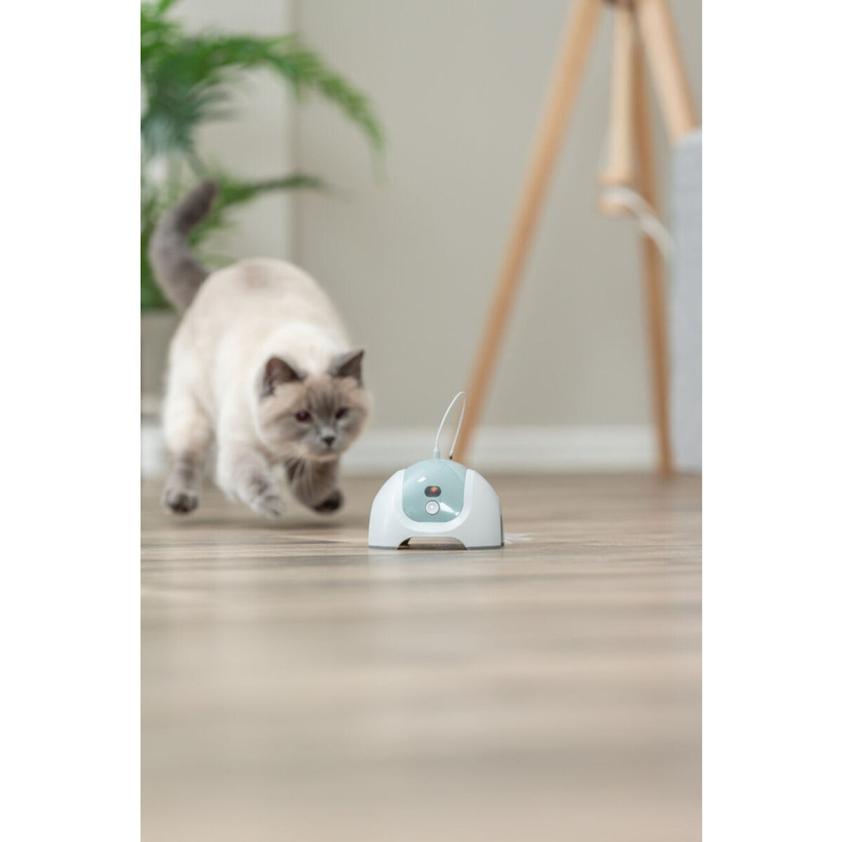 Katzenspielzeug Catch Me mit Motor und Fernbedienung – ø 15 × 21 cm
