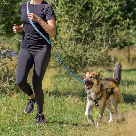 Trixie  Hunde Joggingleine mit Ruckdämpfer – 1,33-1,80 m/20 mm, petrol/aqua