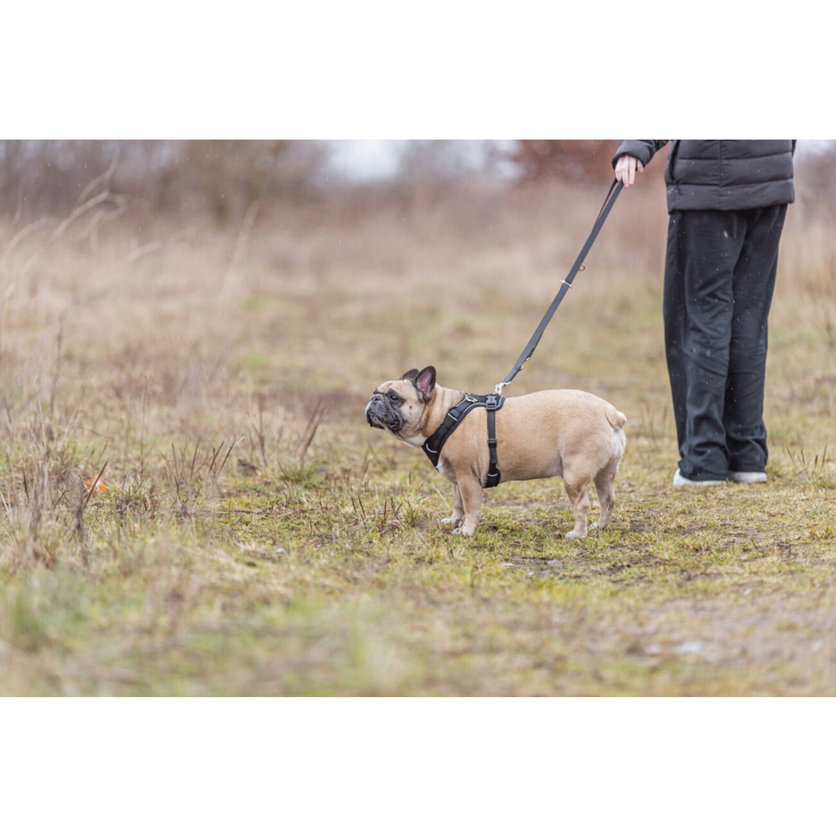 Premium FlexMesh Geschirr, wide fit spezieller Schnitt für kurze, kompakte Hunde, z. B. Möpse & Bulldoggen