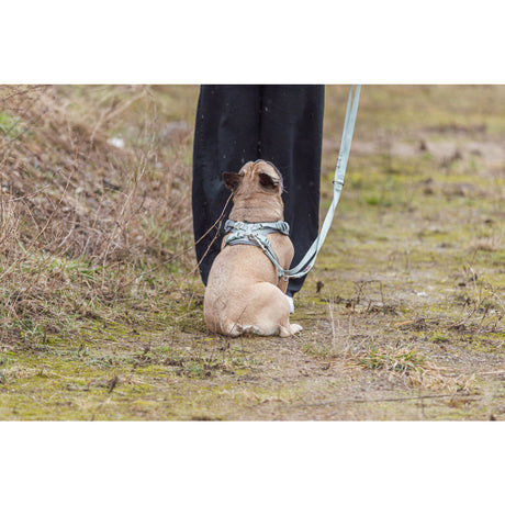 Premium FlexMesh Geschirr, wide fit spezieller Schnitt für kurze, kompakte Hunde, z. B. Möpse & Bulldoggen