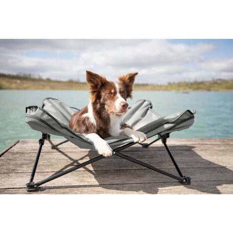 Hunde Camping-Bett mit Transporttasche