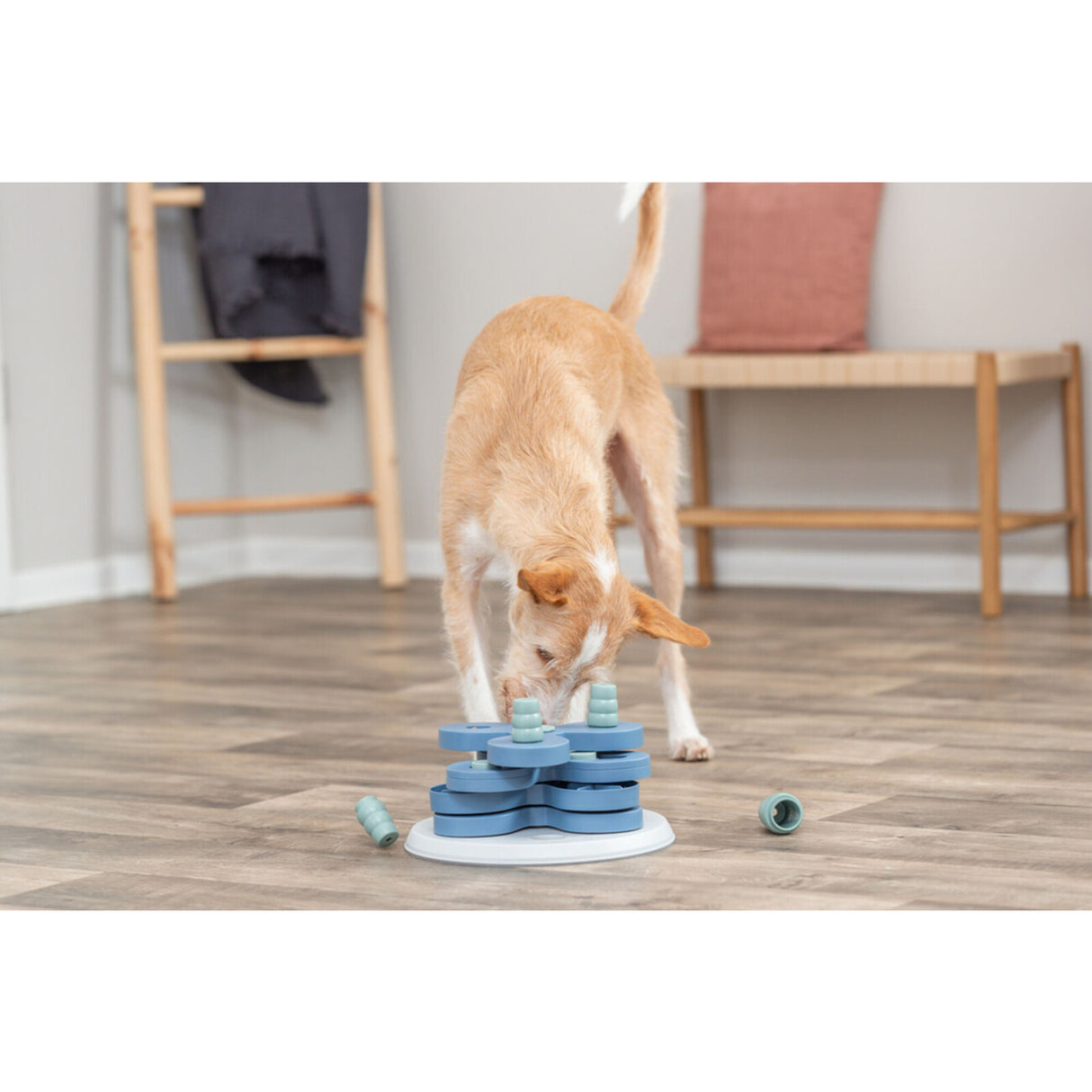 Dog Activity Strategiespiel Flower Tower für Hunde – ø 30 × 13 cm