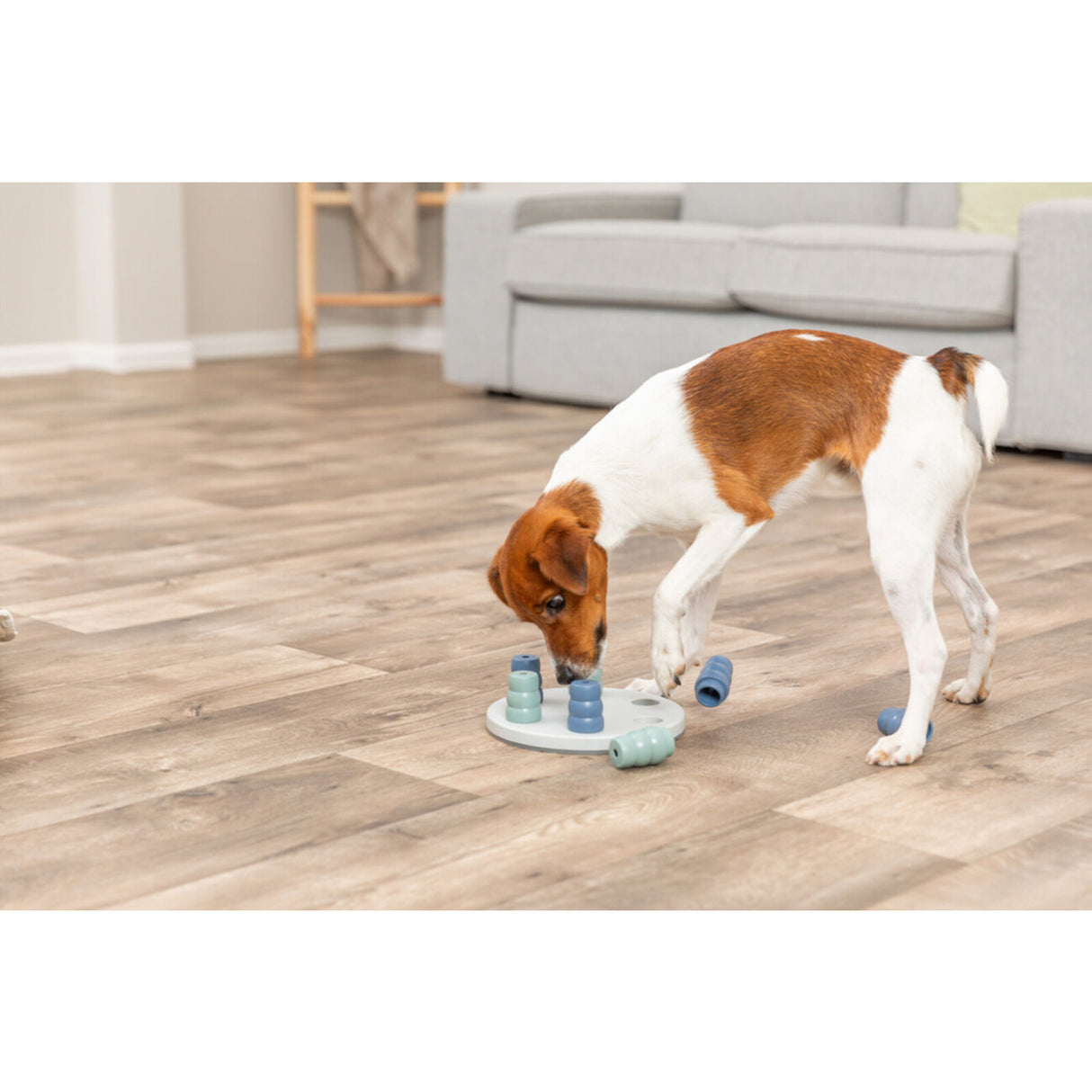 Dog Activity Strategiespiel Mini Solitär für Hunde – ø 20 cm