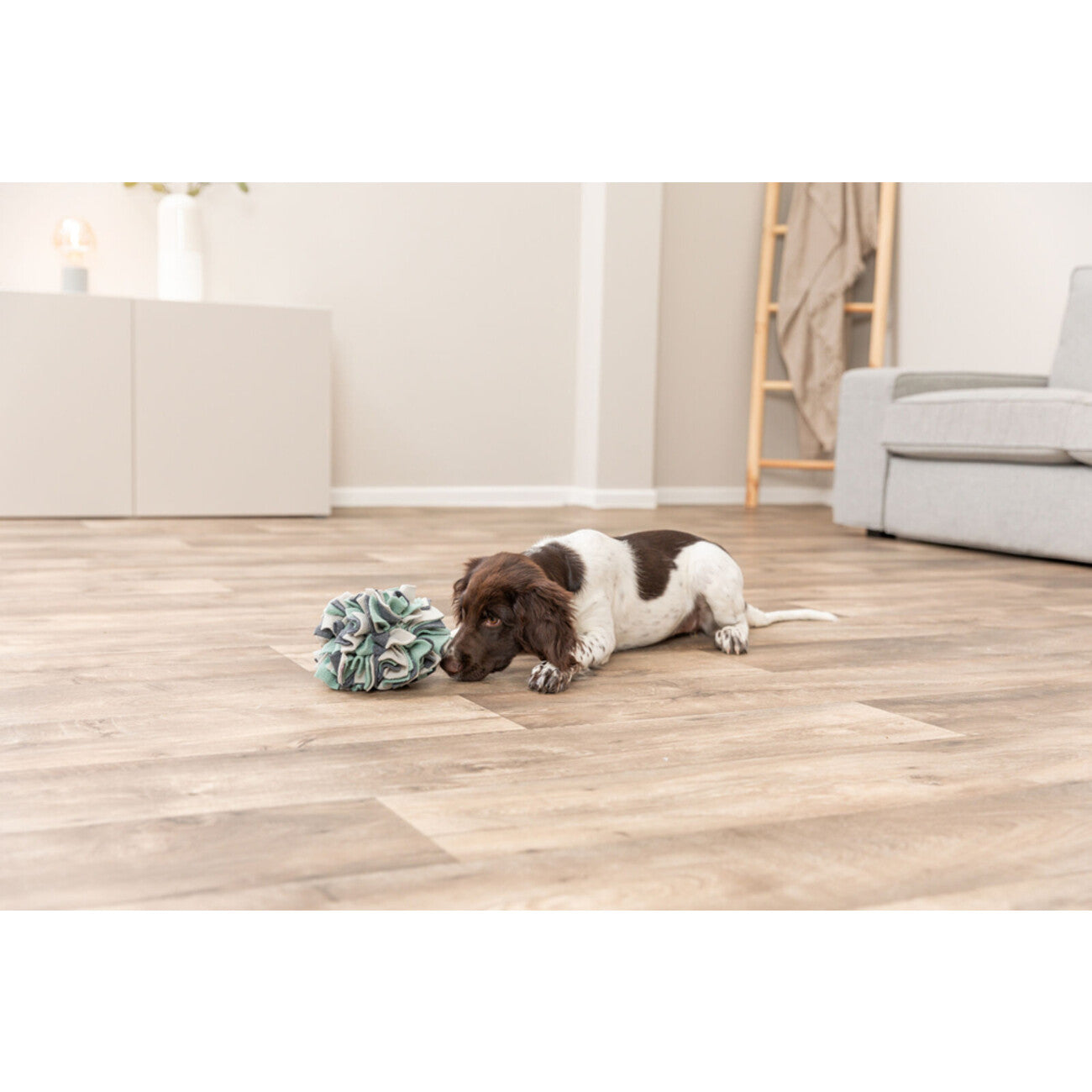 Dog Activity Schnüffelball aus Stoff für Hunde
