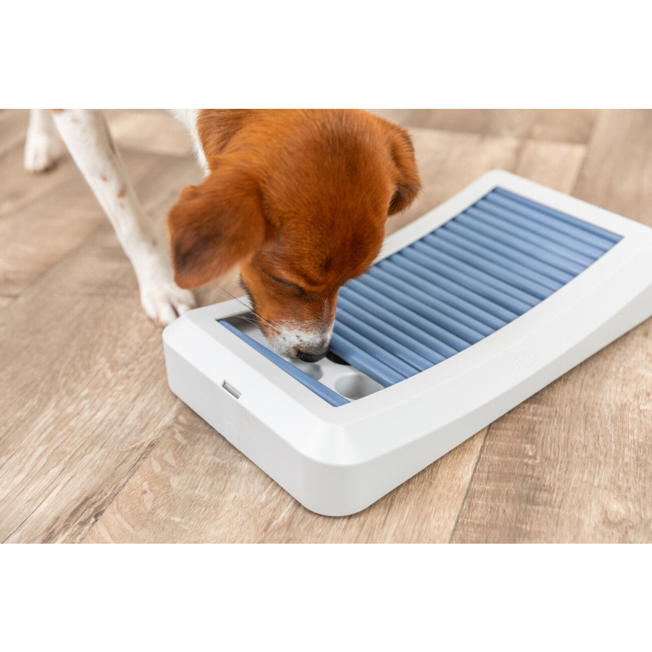 Dog Activity Stäbchenspiel Rod Board aus Kunststoff für Hunde – 35 × 19,5 cm