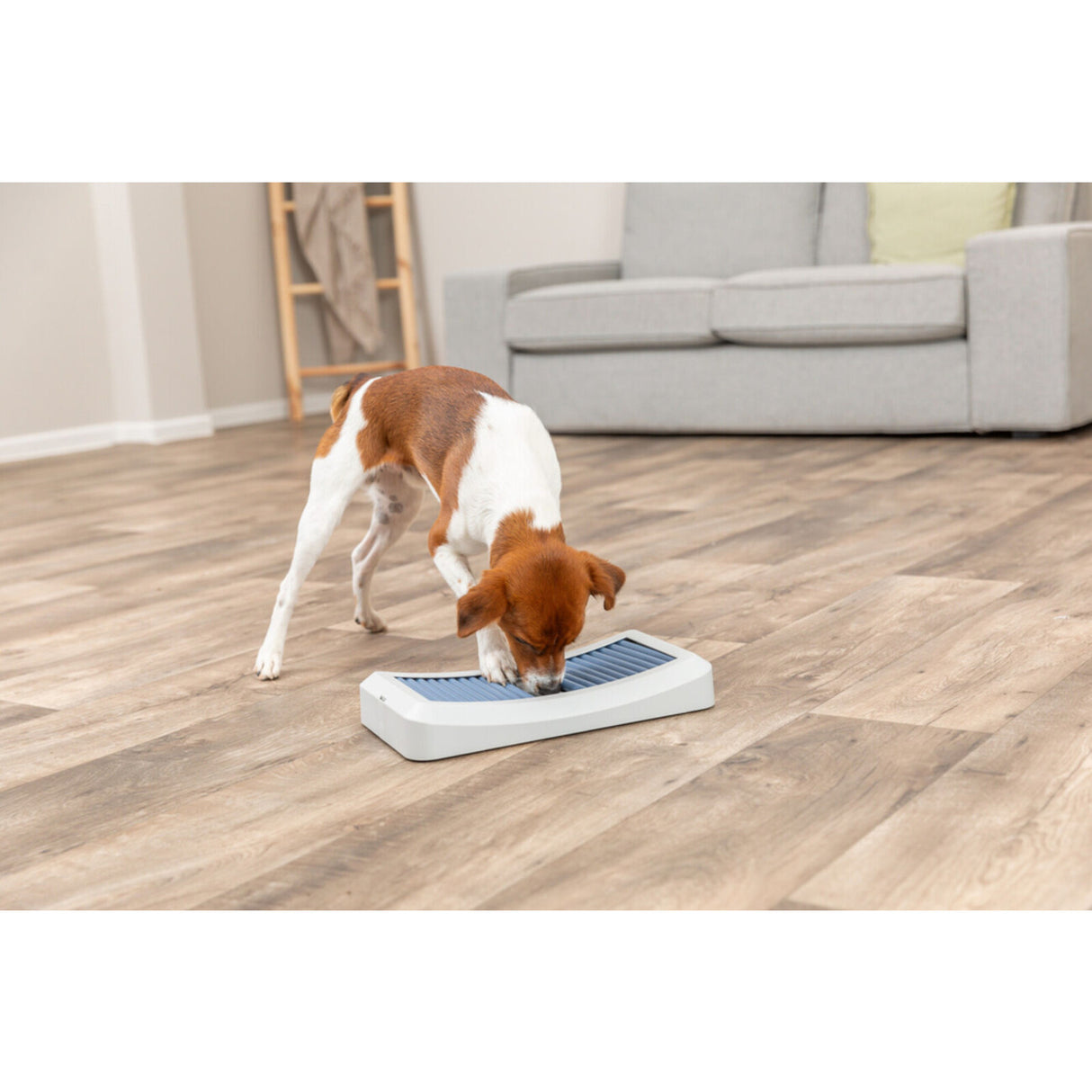 Dog Activity Stäbchenspiel Rod Board aus Kunststoff für Hunde – 35 × 19,5 cm