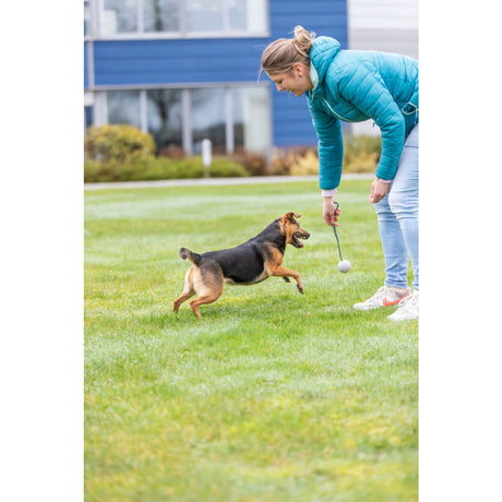 Hundeball am Seil – aus Naturgummi,  ø 6 cm/30 cm