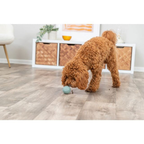 Labyrinth-Snacky Hunde Snackball – ø 6 cm