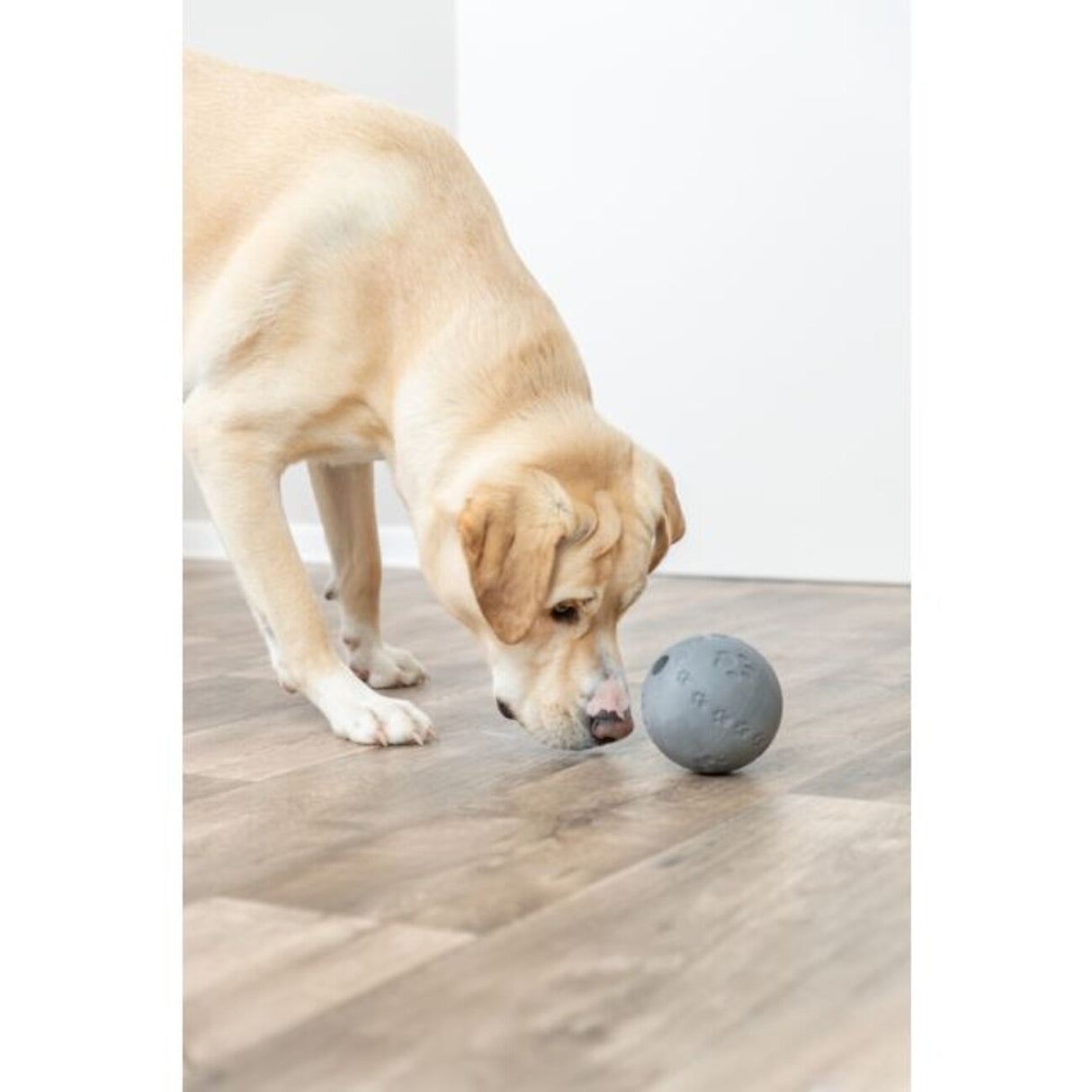 Labyrinth-Snacky Hunde Snackball