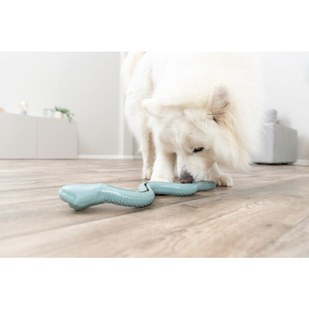 Snack-Snake Snackspielzeug für Hunde – 42 cm, grün