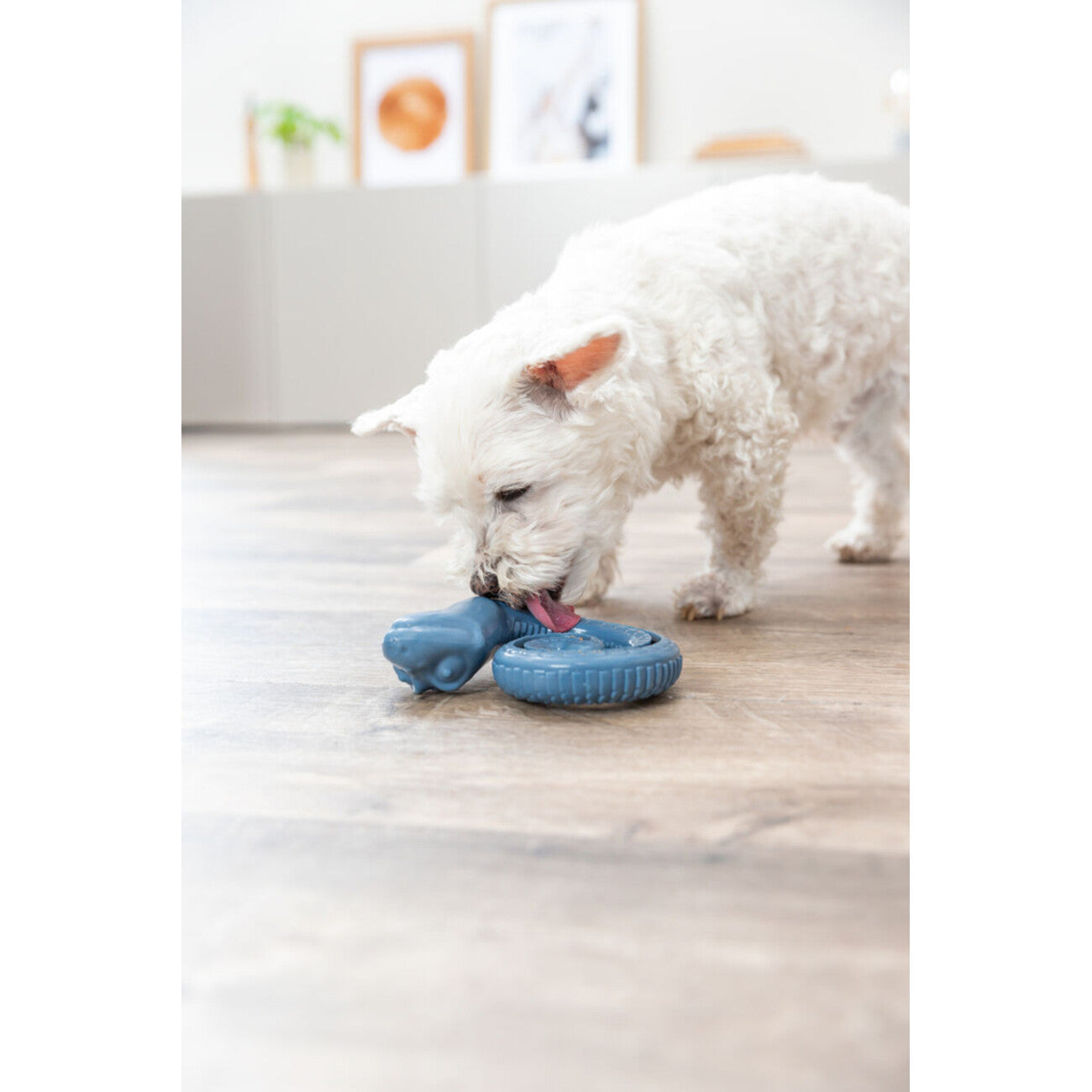 Snack-Snake eingerollt – ø 18 cm