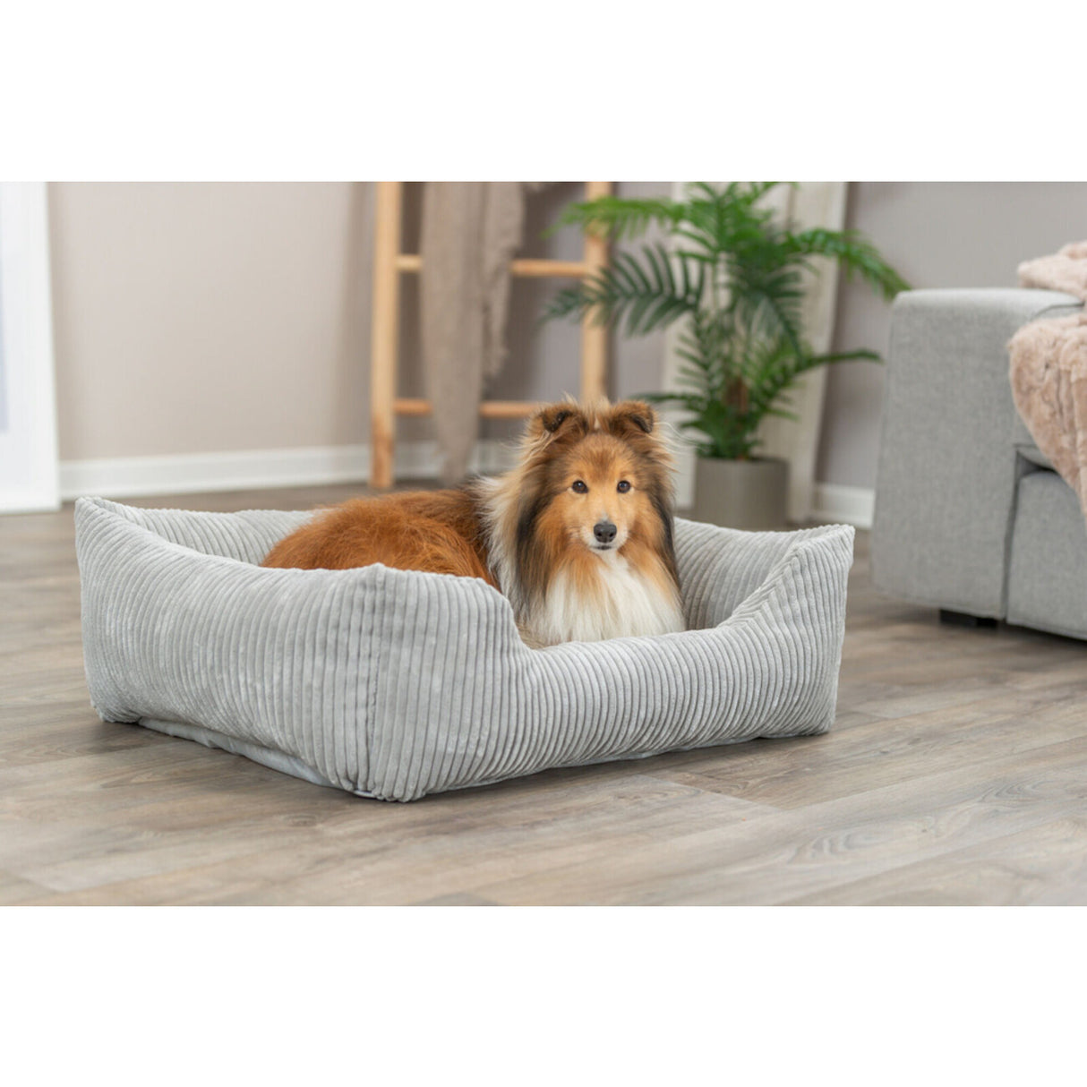 Orthopädisches Hundebett Vitalbett Jonna aus Cordplüsch