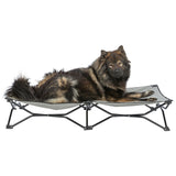 Camping-Bett Strong Edition für Hunde bis zu 50 kg – 120 × 22 × 60 cm