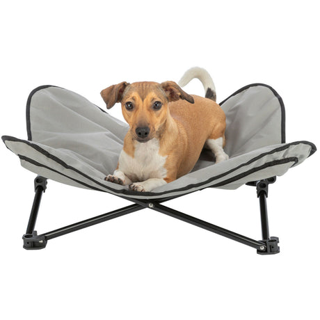Hunde Camping-Bett mit Transporttasche