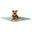 Reisedecke CityStyle, eckig – 80 × 80 cm, salbei